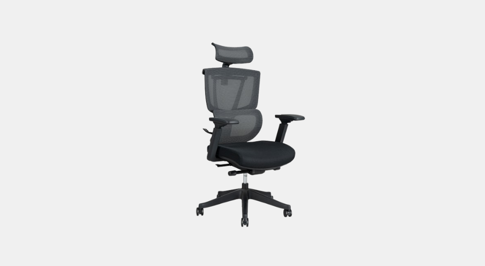 best budget office chair_ FlexiSpot C7