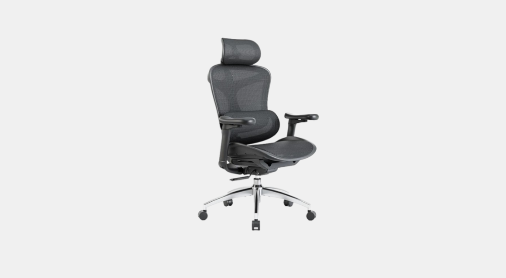 best budget office chair_Sihoo